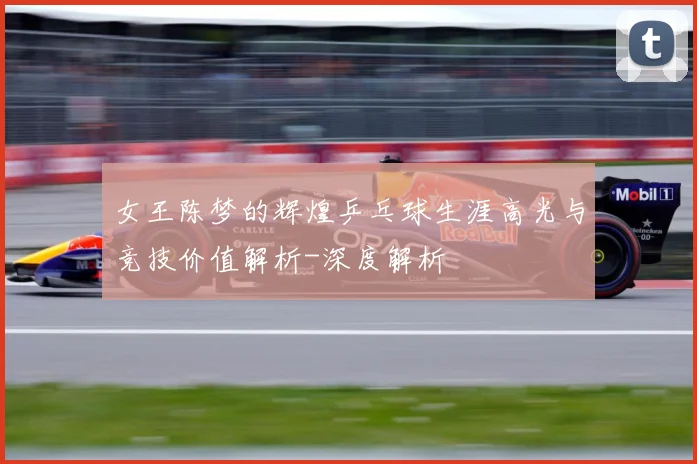 女王陈梦的辉煌乒乓球生涯高光与竞技价值解析-深度解析
